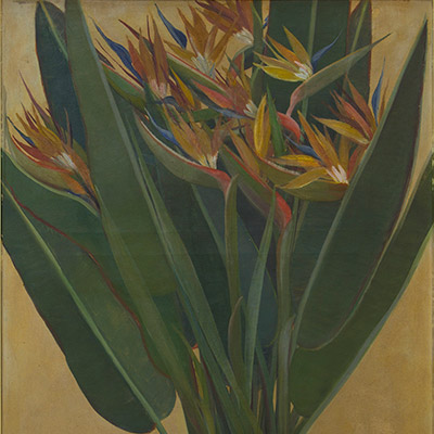 Sterlizia, óleo tela, 1943, 90 x 80 cm, Museo Quinquela